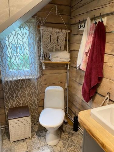 a bathroom with a toilet and a sink at Metsanõmme puhkemaja in Lümati