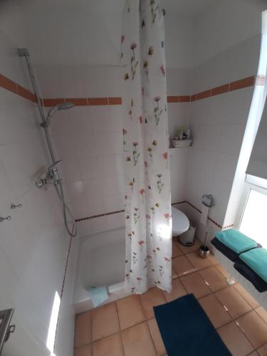 a bathroom with a shower curtain with a toilet at Ferienwohnung an den Leinewiesen in Schwarmstedt