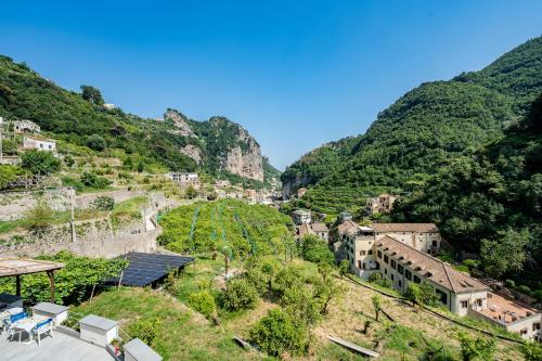 Phong cảnh thiên nhiên gần nhà khách