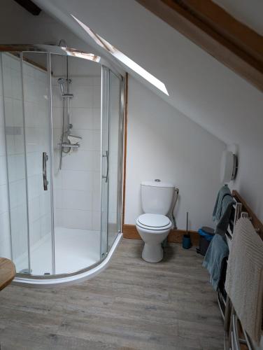 une salle de bain avec toilettes et douche en verre dans l'établissement Ruim appartement dichtbij Bourganeuf, à Soubrebost