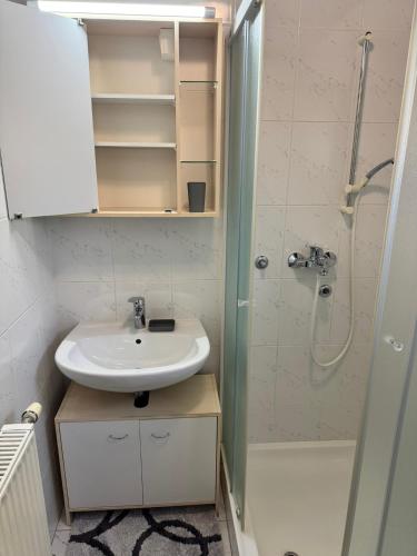 a bathroom with a sink and a shower at Hiša Jelka in Kranjska Gora