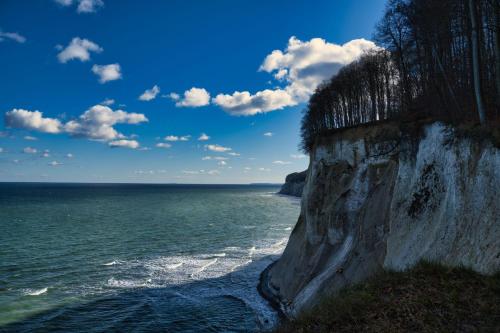 a cliff next to the ocean with trees on it at Villa Strandidyll, Apartment 8, 2 Balkone mit Meerblick in Binz