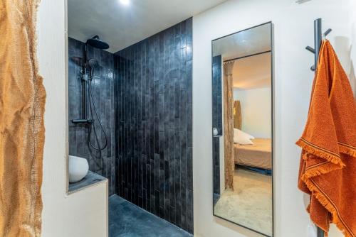 un baño con ducha y espejo en Maisonk Provence, en Villedieu