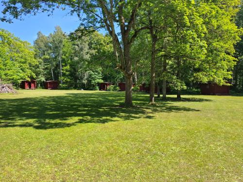 a park with trees and a grass field at Illuste kämping in Paatsalu