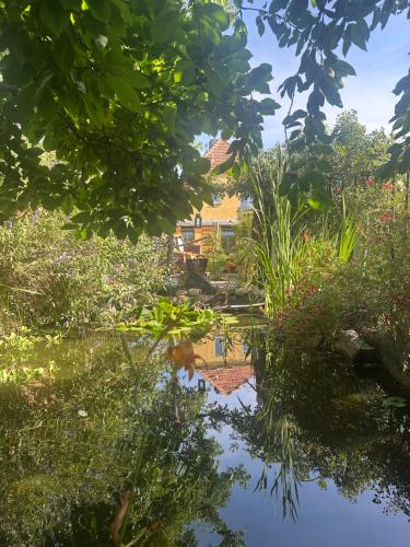 a reflection of a house in a pond at Villa Martha in Radebeul