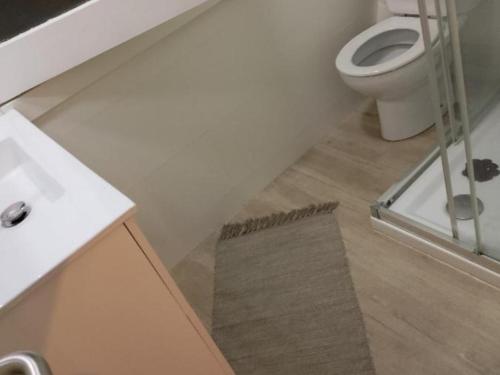 a bathroom with a toilet and a glass shower at KaSsAnDrA HoUsE in Barcelona