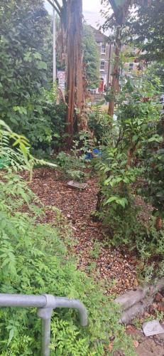 a garden with a tree and some plants at Beautiful loft with En-Suit in a family house, in London