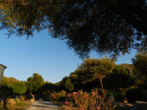 Jardin de l'établissement Donnigheddu
