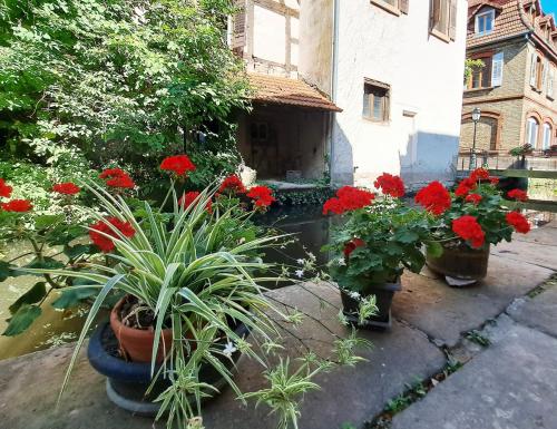 Сад в Appartement 2 pièces, La tannerie