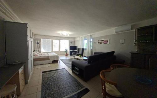 a living room with a couch and a bed at Sirokkó Apartman in Balatonfüred