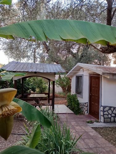 a small house with a green roof at Raj mira in Utjeha