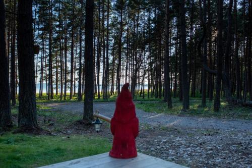 a person in a red dress standing in the woods at Hosby Päkapikumaja Vormsi saarel in Hosby