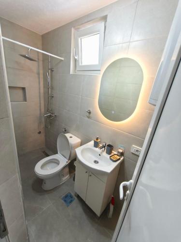 un bagno con un water, un lavandino e uno specchio di apartman19 a Podgorica