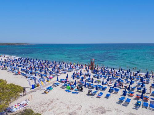a large group of chairs and umbrellas on a beach at Janna e Luna Resort in Agrustos