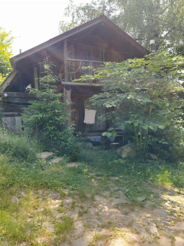 Сад в PetrikHolm