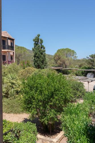 a bush in a yard with a house in the background at Salida apartment in Alghero