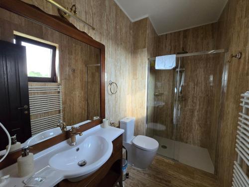a bathroom with a sink and a shower and a toilet at Pensiunea Cocosel in Căstău