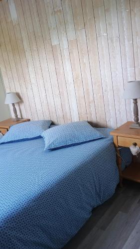 a bedroom with a blue bed with two night tables at Chambre d'hôtes proche du PAL-Badiane- in Saligny-sur-Roudon