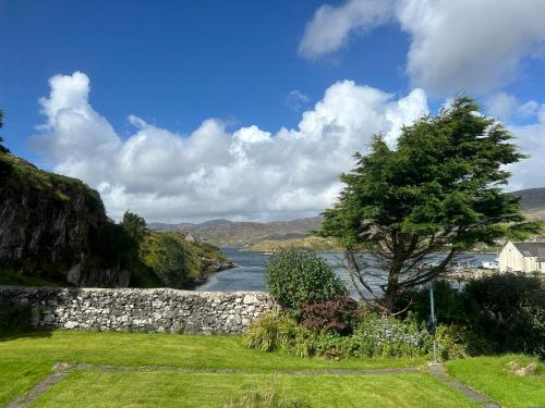 a tree in a field next to a river at Two Harbours Guest House in Scalpay