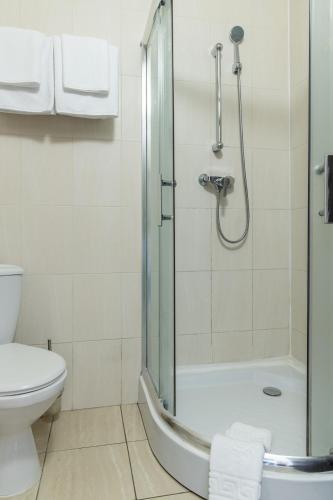 a bathroom with a shower and a toilet at PecherSky Hotel in Kyiv