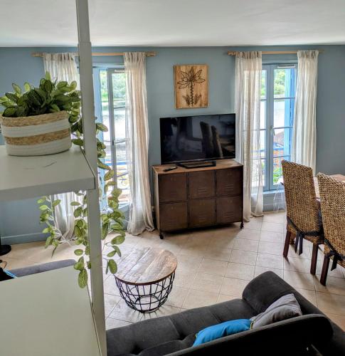 un salon avec un canapé et une télévision à écran plat dans l'établissement Appartement des Gabarres, à Bergerac