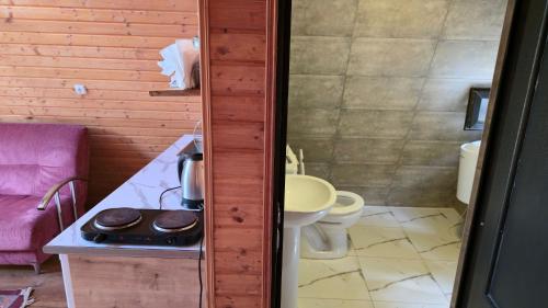 Vannituba majutusasutuses Cottage Tvishi