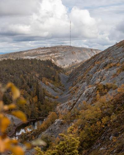 a view of a mountain with trees on it at Jussan Luppo - Original Log Cabin, Sauna, Ski 100m in Pyhätunturi