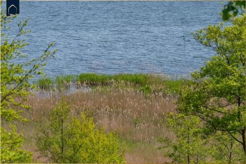 a view of a body of water with grass and trees at Fischerdorf DDH Hafftraum in Zirchow