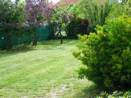 Zahrada ubytování Orgona Apartman- és Nyaralóház