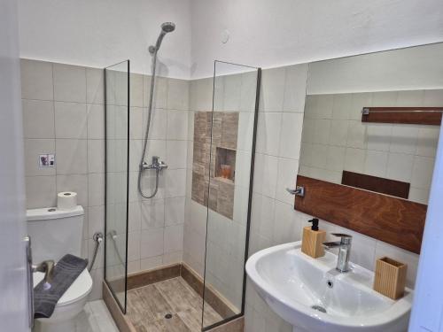 a bathroom with a shower and a sink and a toilet at Villa Maroula in Afantou