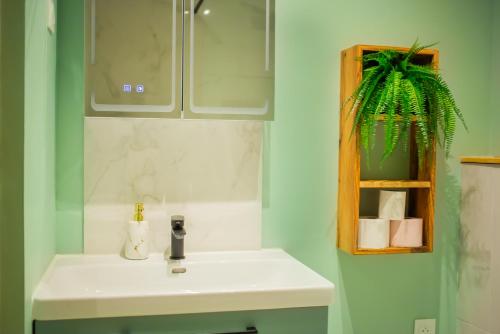 a bathroom with a white sink and a plant at Parking gratuit à 3 min à pied, Clim, Laverie, Fibre, proche de Rousset, zone d'activités et domaines pour Mariages in Trets