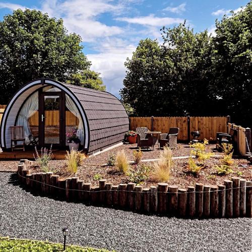 a dome greenhouse in a garden with plants at Ballyhoura Glamping in Ballyorgan