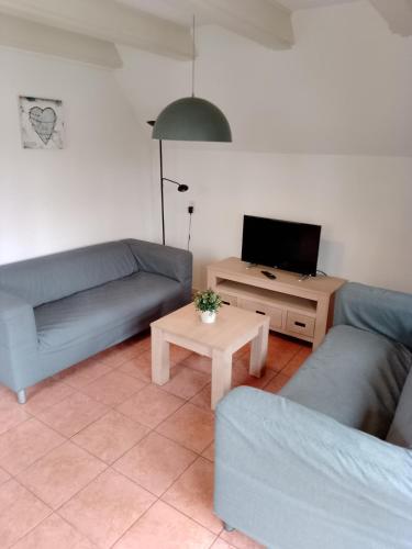 a living room with two couches and a tv at Vakantiepark Bergsehaak in Haaksbergen