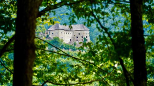 a castle seen through the trees at Glamping Avantura- a natural getaway by the Kolpa River in Kostel