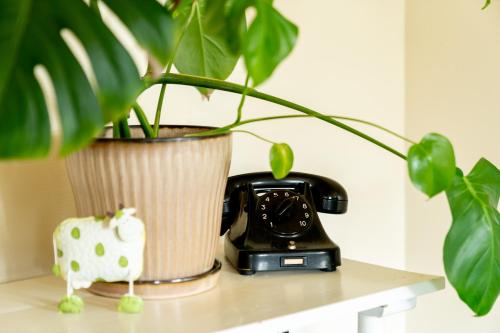 a plant sitting on a table next to a phone at Akaciegaarden Bed & Breakfast in Hårlev
