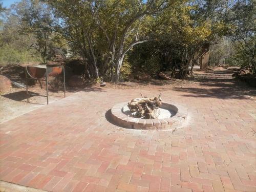 Gallery image of Lion and Cheetah Sanctuary in Cullinan