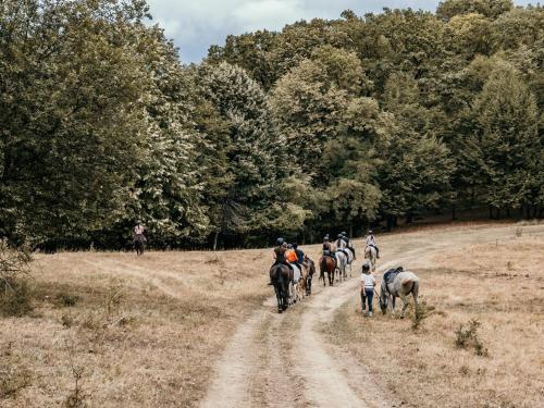 a group of people riding horses down a dirt road at Sunset Hills Chalet in Slănic