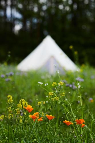 Κήπος έξω από το bosco glamping