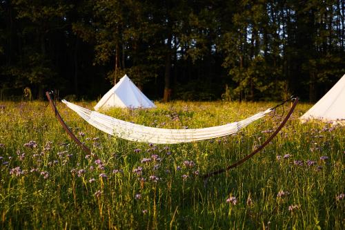 Κήπος έξω από το bosco glamping
