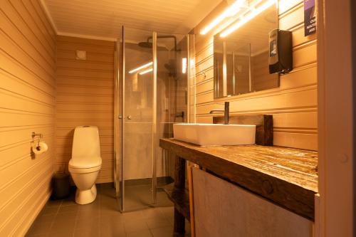 a bathroom with a sink and a toilet at Eliassen Rorbuer in Reine
