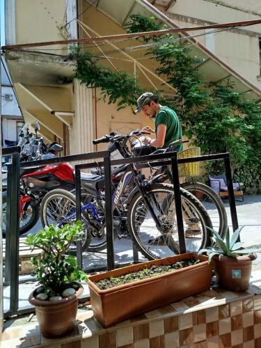 Harmony Backpackers Hostelの敷地内または近くで楽しめるサイクリング