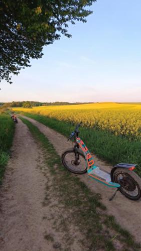 a bike parked on a dirt road next to a field at Kaczawska Chata z wypożyczalnią e-hulajnóg terenowych 