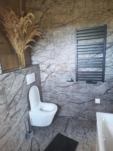 a bathroom with a toilet and a sink at Wonderland Apartamenty in Bukowiec
