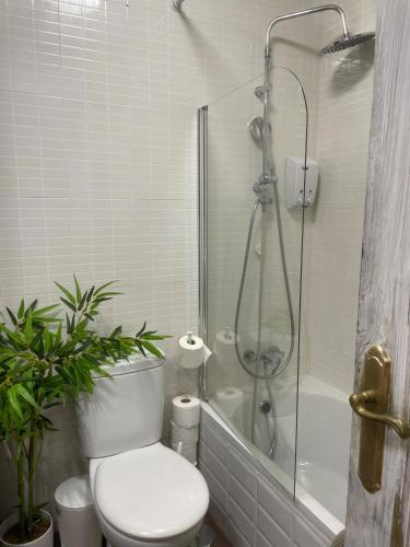 Amplio apartamento, playa, tren