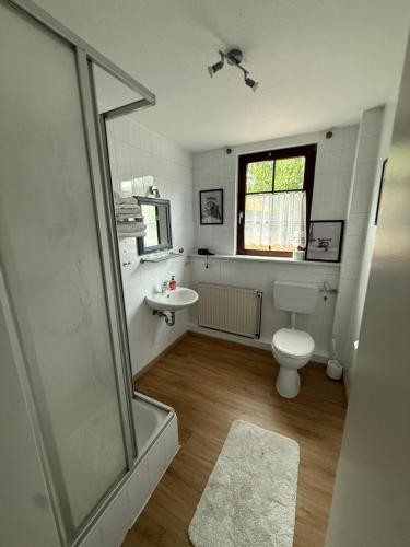 a bathroom with a toilet and a sink at Boga's im Schützenhof Hüttenbusch in Worpswede