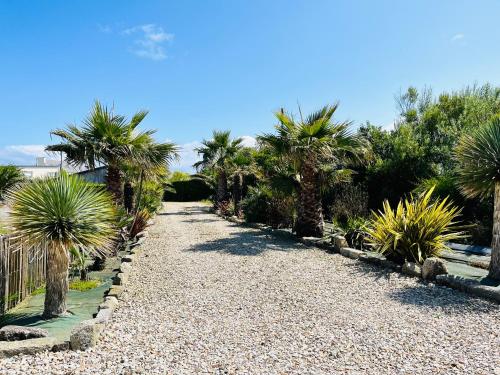 Loodusmaastik puhkemaja lähedal