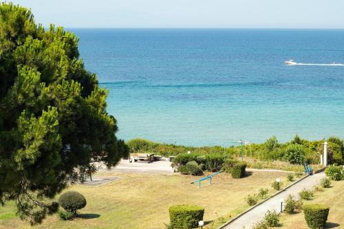 Buena Vista - San Mames