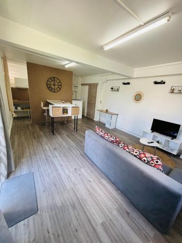 a living room with a couch and a tv at Studio calme - travail ou repos in Chambort