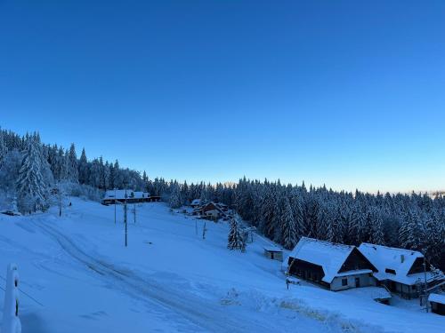 a village covered in snow with houses and trees at Apartmán Hájenka - Makov in Makov