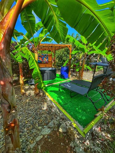 Ti Ben - Jacuzzi Privatif Jardin Tropical - Le Robert